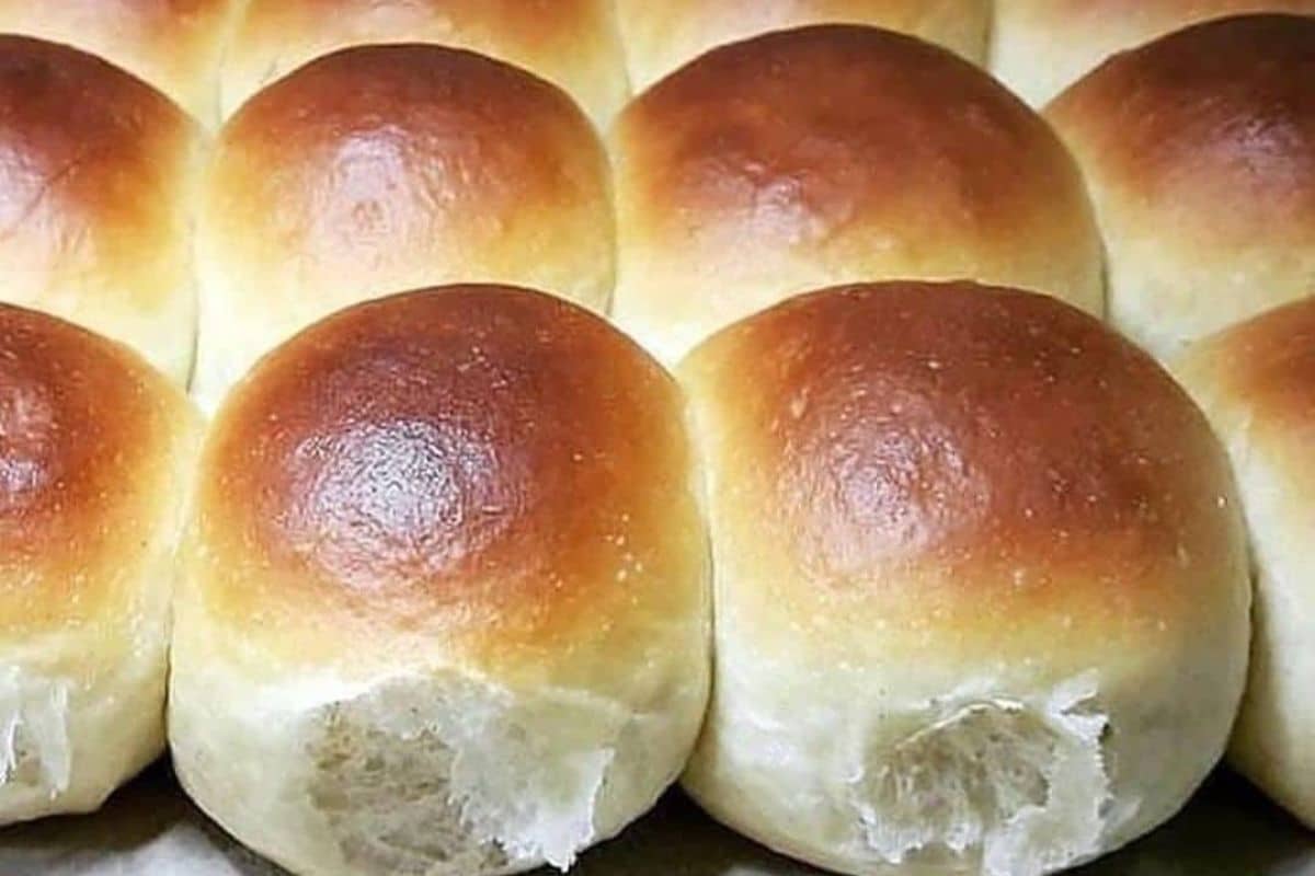 Pão de Liquidificador Fácil e Saboroso