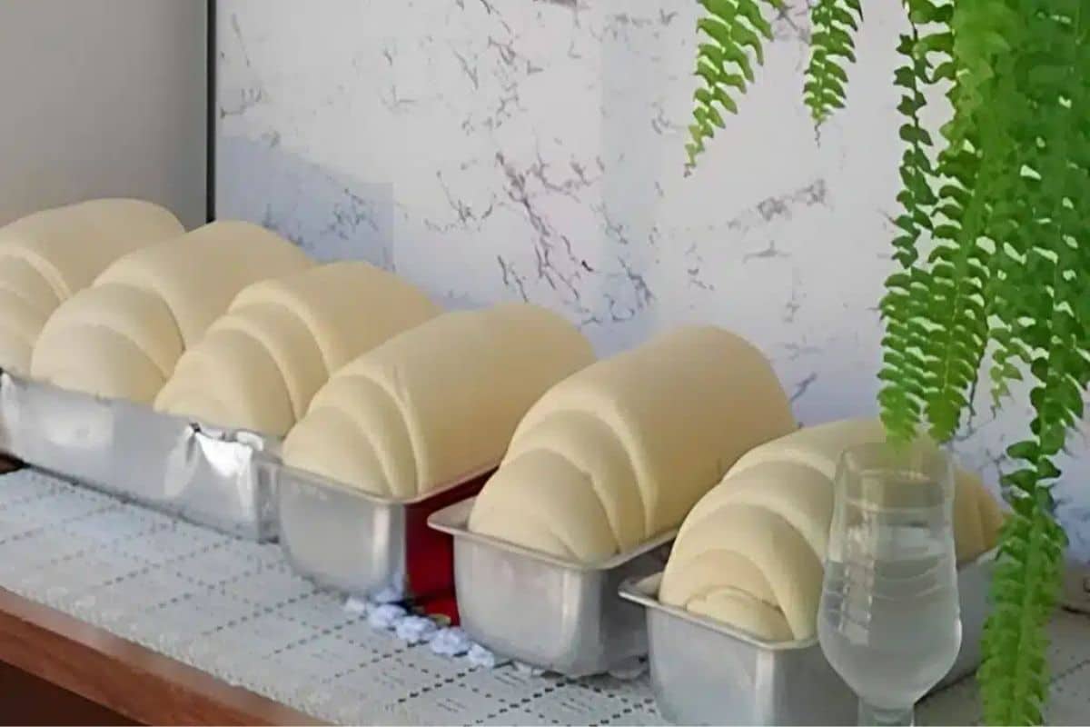 Pão Caseiro Que Cresce Muito e Fica Macio
