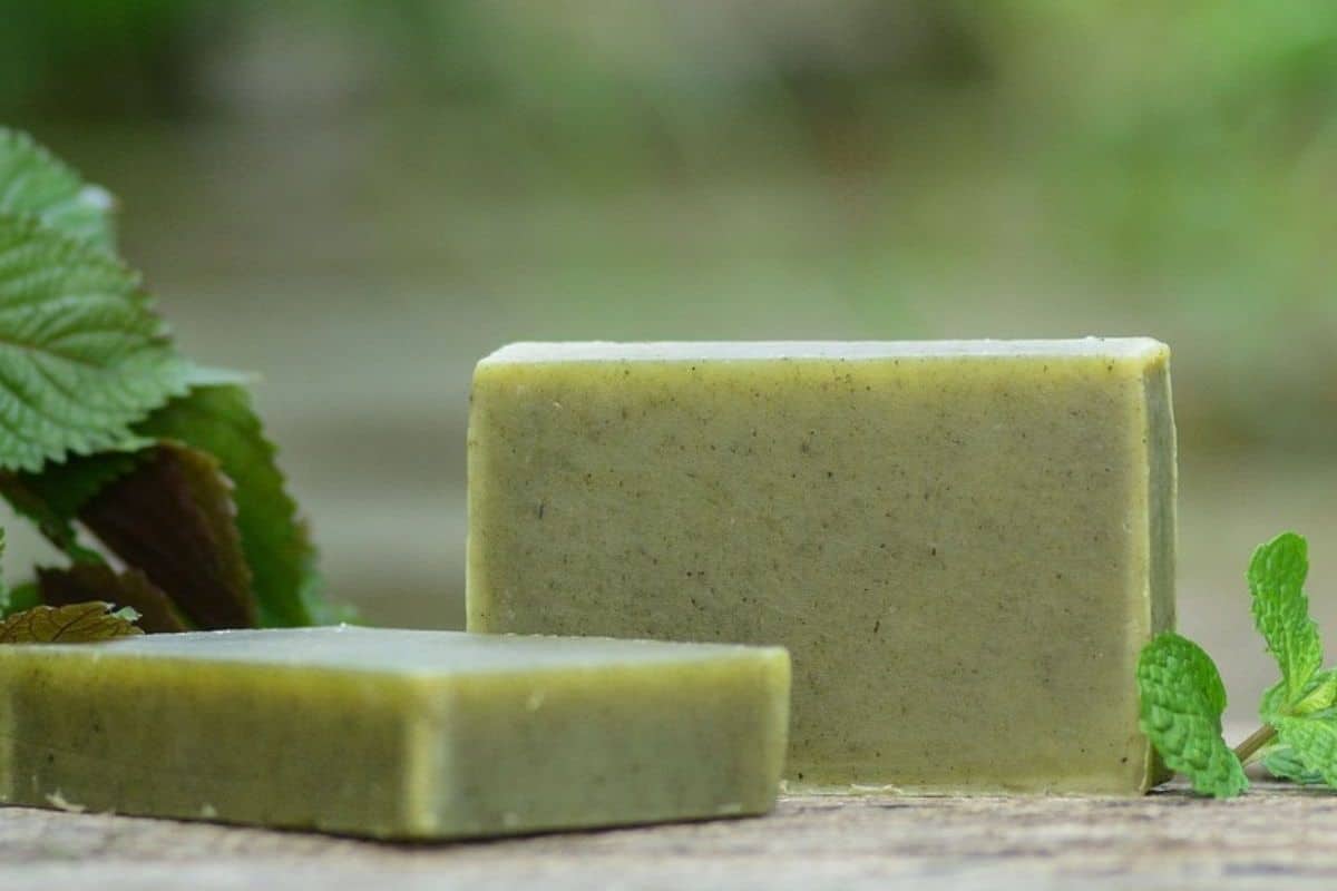 Sabonete de Babosa Caseiro: Cuidado e Hidratação Natural para a Pele