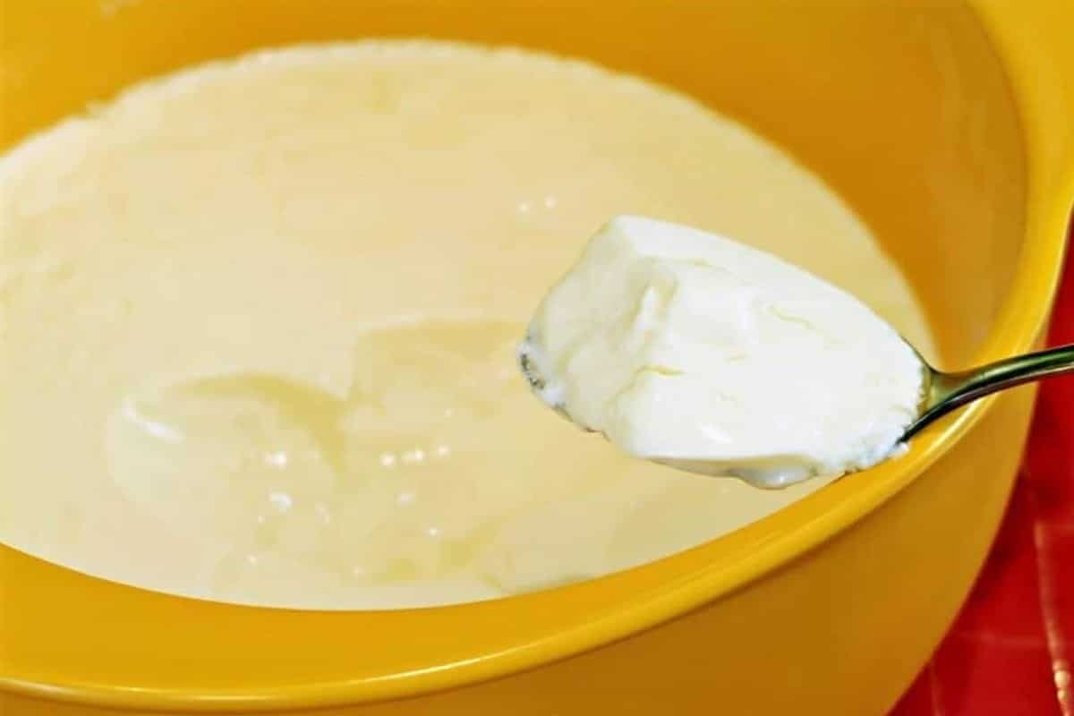 Desvendando o Prazer Saudável: Como Fazer Iogurte Caseiro em Seu Próprio Lar