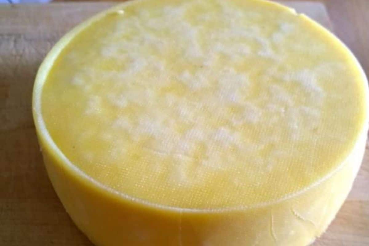 Queijo Colonial Caseiro: Tradição e Sabor na Sua Cozinha