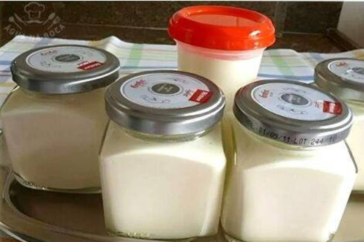 Requeijão Caseiro: Uma Deliciosa e Saudável Opção