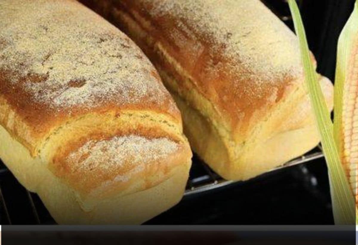 Delicioso Pão de Milho de Liquidificador: Receita Simples e Saborosa