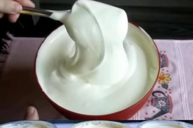 Faço esse Sorvete de Suco Tang e é briga aqui em casa pelo último potinho