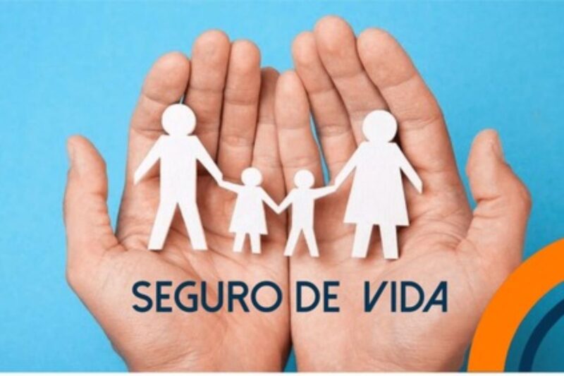 Seguro de Vida: Como Escolher o Ideal para Proteger sua Família e seu Futuro